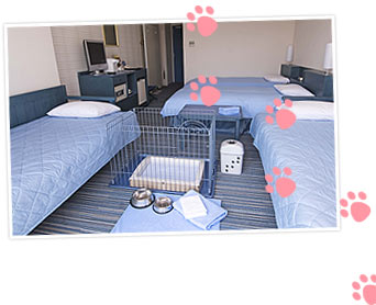 ディズニーランド周辺の犬と泊まれる パーム ファウンテンテラスホテル ペットと泊まれる宿どっとこむ
